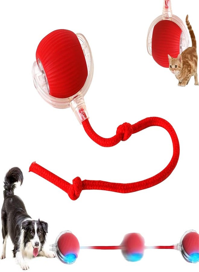 Treayes 2025 New Interactive Dog Cat Toys Balls,Interactive Rolling Ball Cat Toy, 360° Smart Automatic Rolling Pet Ball, Fast Moving Toy for Dog and Cat(Red) - Image 1
